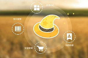 淘宝助理功能特色