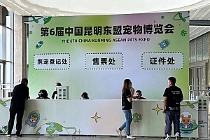 萌然心动,宠力全开!第六届昆明宠博会开幕了