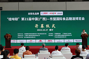 食博会在南宁举办 全国各地近400家企业展出2000多种特色食品