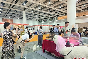 中部(长沙)宠博会开幕 展行业新趋势