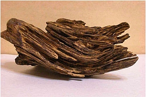 中医药康博会:普及中华香道 繁荣沉香产业