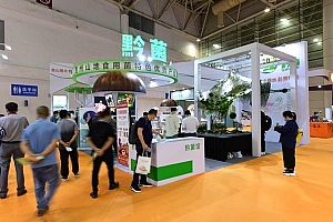 “黔菌”亮相第三届菌博会 尽显贵州“山珍”魅力
