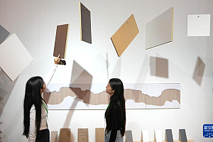 第十九届中国林产品交易会在山东曹县开幕