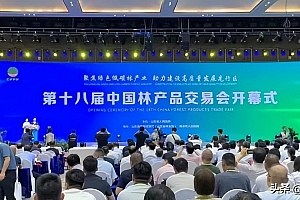 第十八届中国林产品交易会在山东菏泽市中国林展馆开幕
