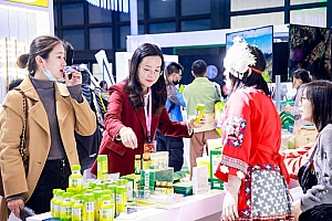 上海发布26个文旅重大投资项目,总投资1175亿元
