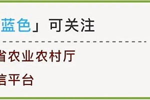 2023第四届黑龙江中医药博览会叫响“寒地龙药”