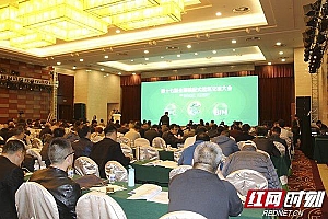 湖南省住建厅组织装配式建筑骨干企业参展第十七届中国住博会