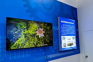 第二十九届中国国际广播电视信息网络展览会开幕 | 展播由川传影视硅谷和广科院联合摄制的8K短片 《荷花》