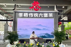 打响“苍”字号!苍梧六堡茶飘香广州茶博会