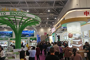 第十六届中国林产品交易会9月19日开幕