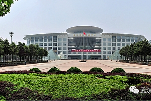 展览公司是武汉国际会展中心四大经营公司之一,主营业务为展会活动承办、主办以及展览工程服务、管理咨询服务,负责经营