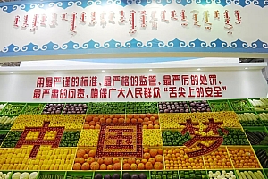 全国有机农业产业联盟—2016第十六届(北京)国际有机食品和绿色食品博览会•招展中