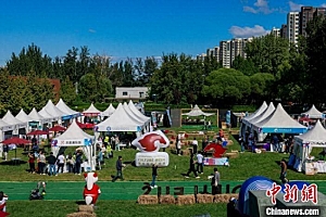 2024国际马术文化周(北京)举行