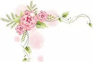 浦东农博会下周五开幕,600余种农产品参展(有80箱水果福利哦)