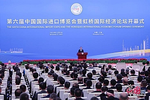 第六届中国国际进口博览会开幕