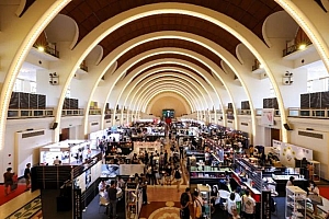 双展来临,哪些要点值得关注?