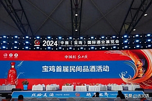 中国(宝鸡)首届民间品酒活动盛大开启